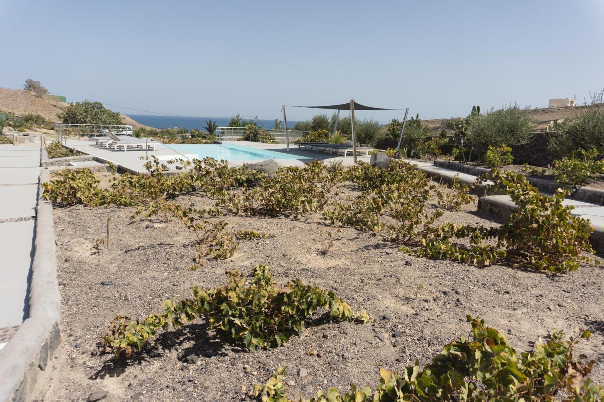 Villas Scirocco Fira  Exterior foto